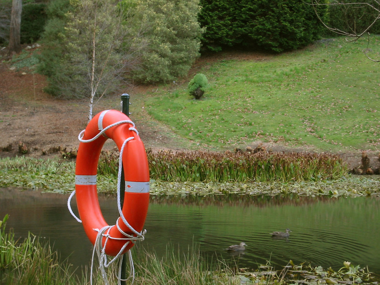 Life-saver next to lake