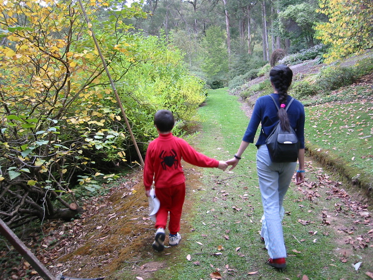 Walking down a garden path