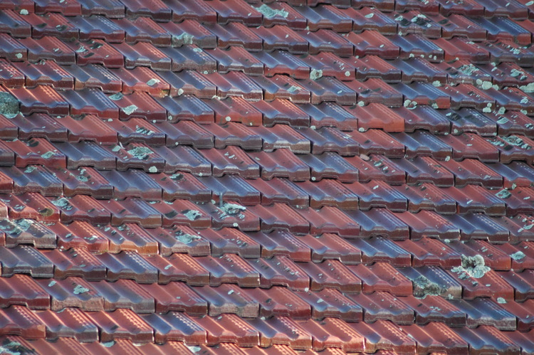 A pattern of roof tiles