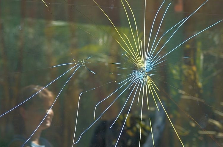 The reflection of a woman looking through shattered glass