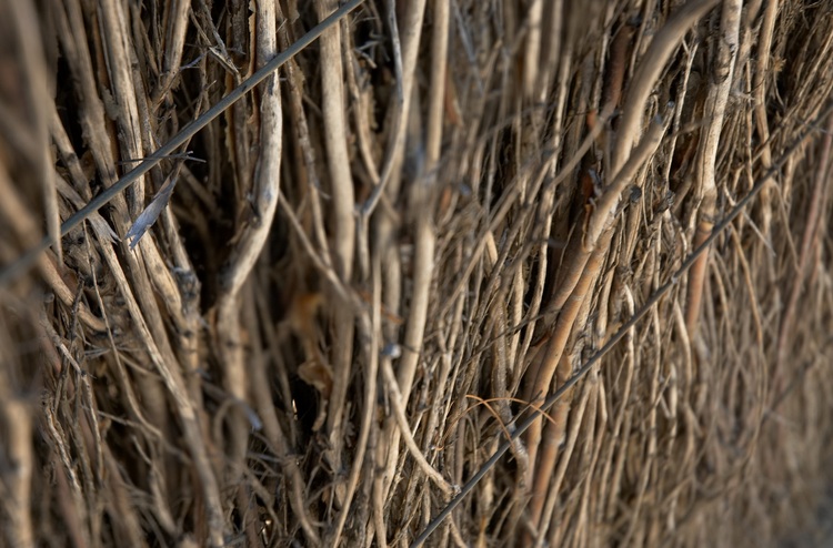 A collage of two images of a brush fence