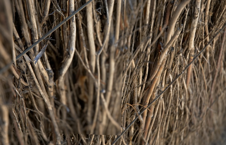 A collage of two images of a brush fence