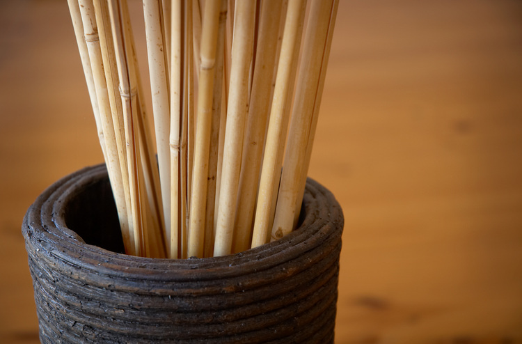 Dried Bamboo sticks