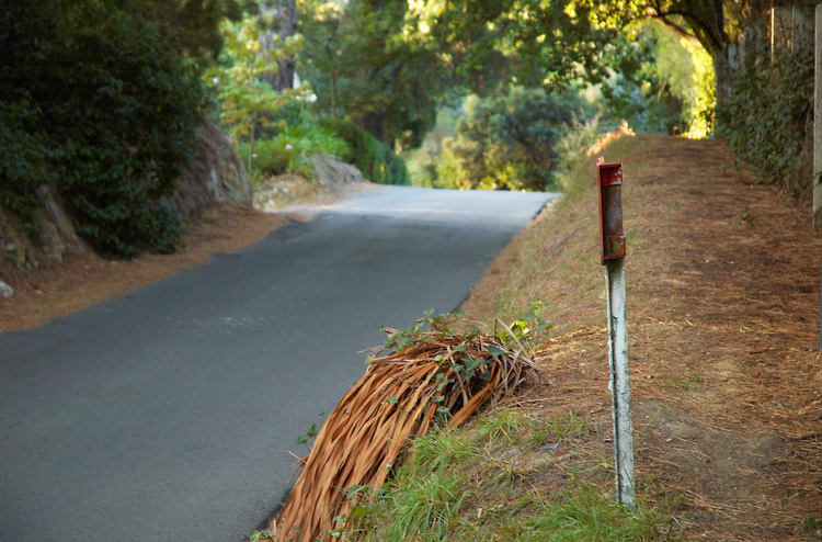 A fire plug in the foreground, and the crest of a road in the background