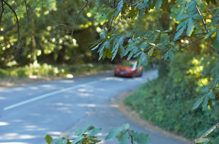 A car approaches a leafy street corner in the Adelaide Hills