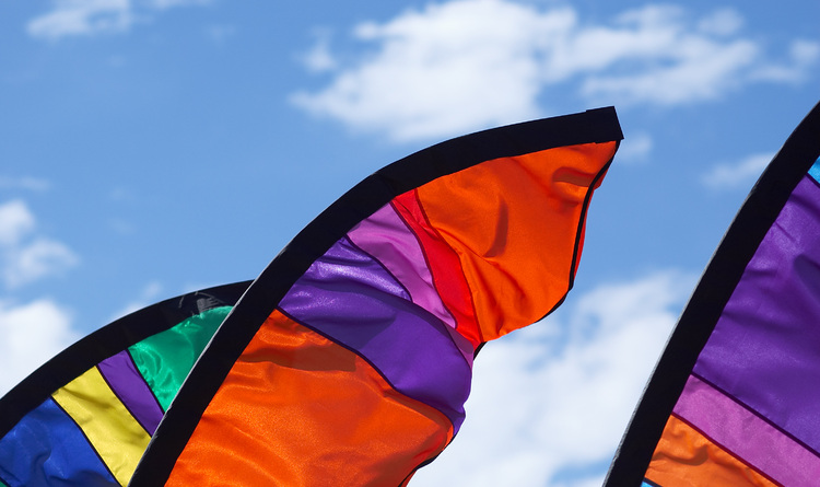 Colourful feather-like banners