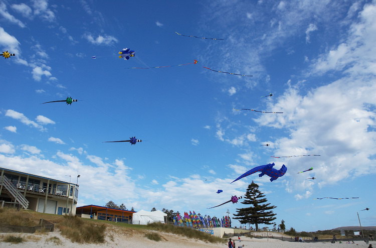 Large kites peppering the sky