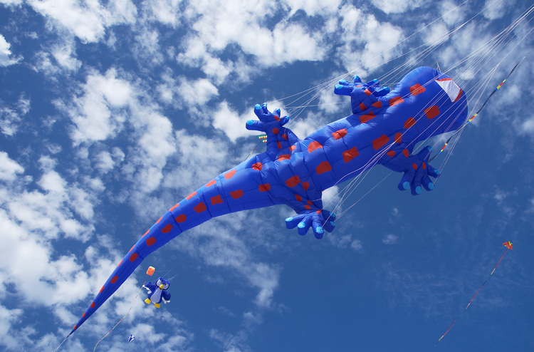 Large kite in the shape of a gecko