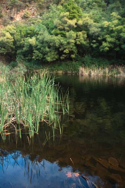 A view across the lake at Waterfall Gully