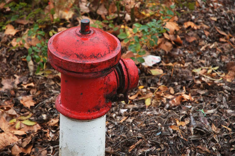 A fire hydrant