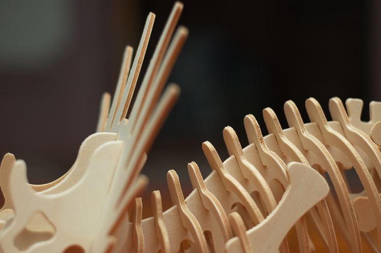 Closeup of a wooden dinosaur toy