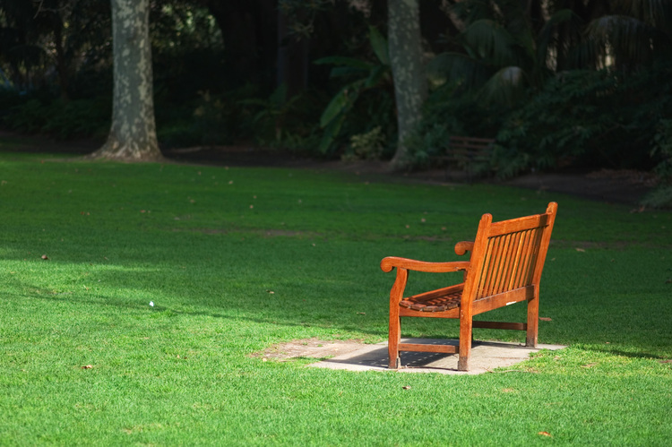 An empty park bench in the middle of a lawn