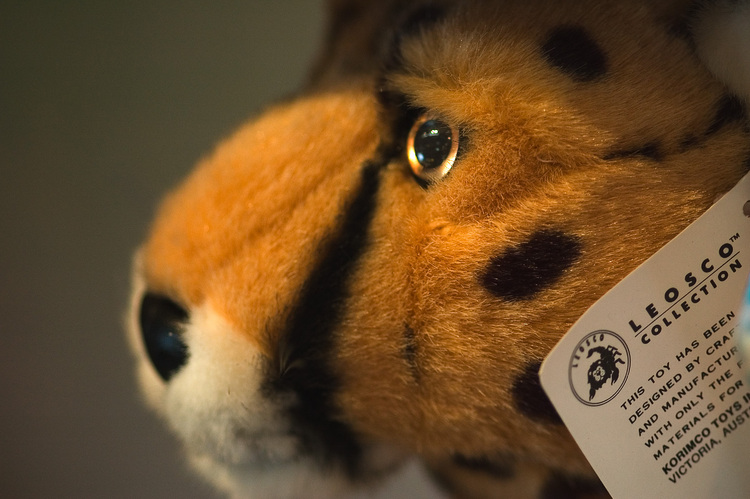 Closeup of a soft toy tiger