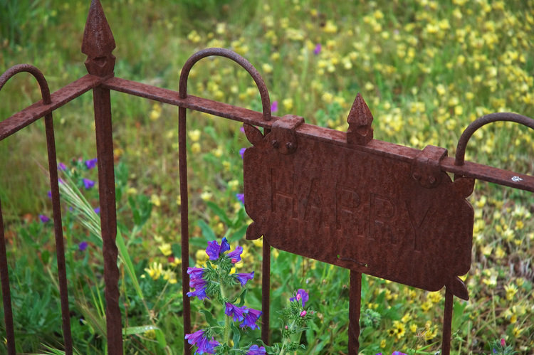 A rusty wrought-iron grave