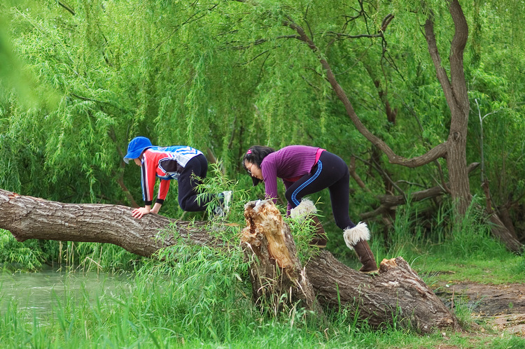 Michael and Theen climbing a tree overhanging a river