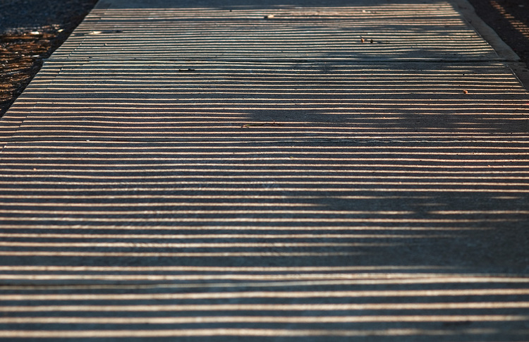 Shadows cast on pavement by picket fences