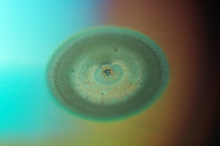 Closeup of a CD with a hole burnt into the metalized layer