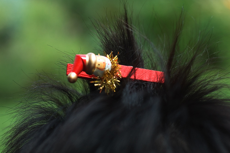 A clothes peg, decorated as Santa, and used as a hair clip