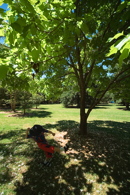 Michael beneath a tree at the Mt Lofty Botanic Gardens
