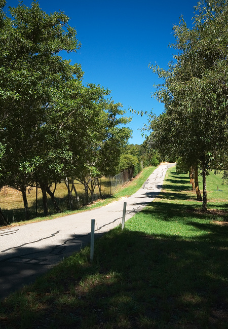 A quiet hills lane