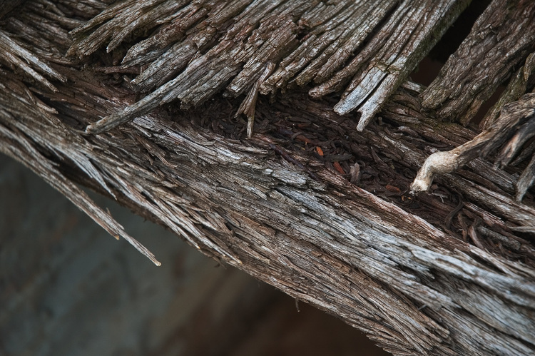 A decaying wooden frame