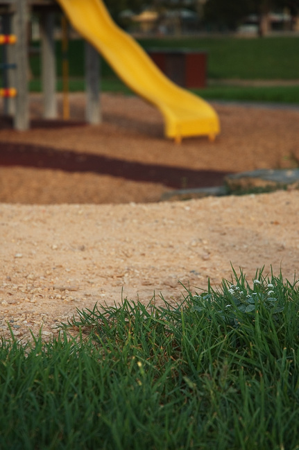 Grass with a path and play equipment in the background