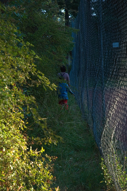 Michael and Theen walking down a narrow gap between trees and a fence