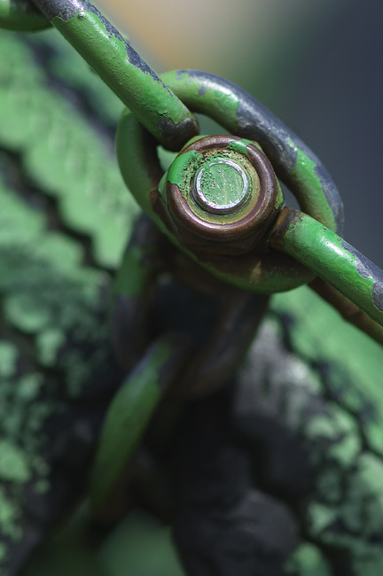 Closeup of a painted nut, bolt, and chain