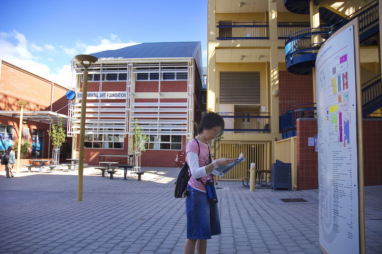 Theen looking at a Festival brochure, and a map