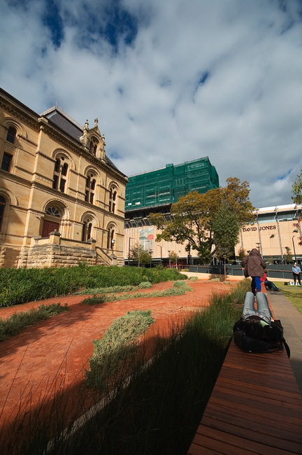 Looking from outside the South Australian Musuem, across to North Terrace