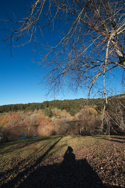 View of the lake and valley at the Mt Lofty Botanic Gardens