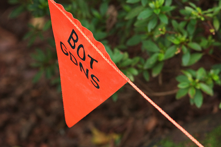 An orange warning flag that reads 'BOT GDNS'