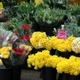 Bunches of flowers for sale