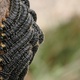 A cluster of caterpillars on a tree