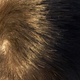 A spiral pattern in hair