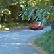 A car approaches a leafy street corner in the Adelaide Hills