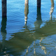 Reflection of a boardwalk in the water