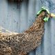 Sculptures of chooks made from chicken wire