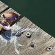 Closeup of a shell on wooden boards