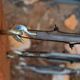 The end of a wire, hooked and tensioned onto a wooden post