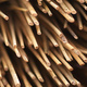 Closeup of dried grass-like plants, with their ends cut off