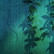 Shadows of a Buddleia on green shade-cloth