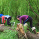 Michael and Theen climbing a tree overhanging a river