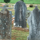 Three headstones in a cemetery