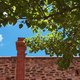 Looking up, in the rear courtyard of the South Australian Musuem