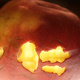 Closeup of an apple with tooth marks on it