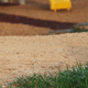 Grass with a path and play equipment in the background