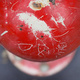 Scratched red paint on the top dome of a piece of playground equipment