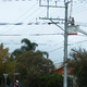 linesmen working on power lines