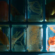 Deep sea specimens in glass display jars